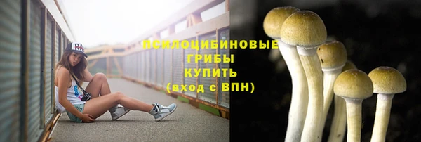 первитин Абинск