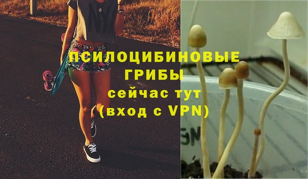 первитин Абинск